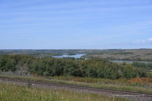 Ausblick auf den North Saskatchewan River