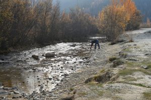 Gold waschen am freien Claim