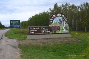 Elk Island Nationalpark