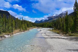 Fluss im Kootenay Nationalpark