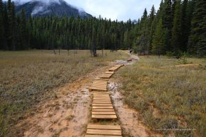 Wanderweg in Kanada