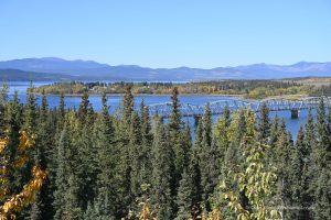 Am Teslin Lake