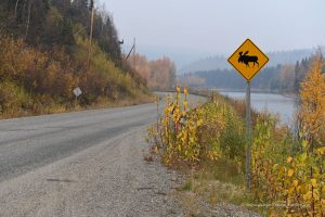 Unterwegs auf dem Klondike Highway