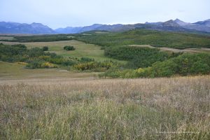 Landschaft beim Waterton Lakes Nationalpark