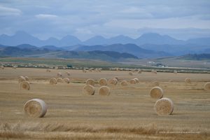 Tolle Landschaft am Rande der Rocky Mountains