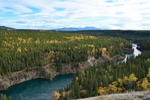 Der Yukon bei Whitehorse