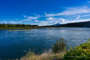 Spaziergang am Yukon