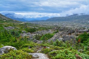 Landschaft bei Alaska