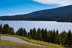 Blick auf den Madison River