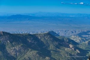 Auf dem Mount Lemmon