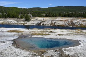 Typisch für den Yellowstone