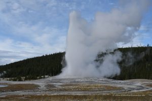 Old Faithful Geysir