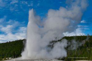 Geysir im Yellowstone Nationalpark