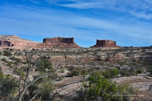 Auf dem Weg zum Deadhorse Point