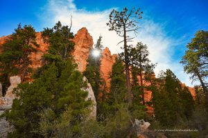 Bryce Canyon