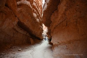 Schlucht im Bryce Canyon