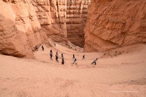 Wanderweg im Brace Canyon