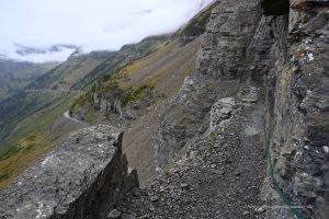 Wanderweg oberhalb der Going to the sun-Road