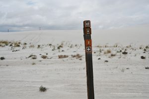 Trail in White Sands