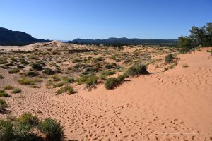 Coral Sand Dunes