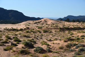 Sanddünen