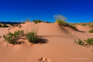 Sanddünen bei Kanab