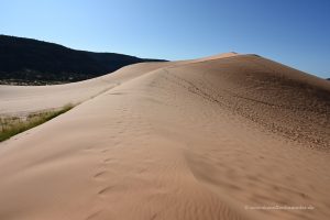 Coral Sand Dunes