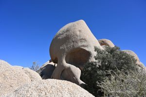 Felsen wie ein Schädel