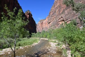 Fluss im Zion Nationalpark