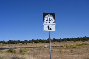Highway 313