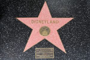 Stern für das Disneyland