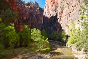 Canyon im Zion Nationalpark