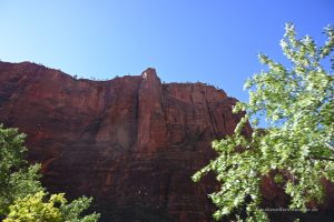 Blick zum Angels Landing