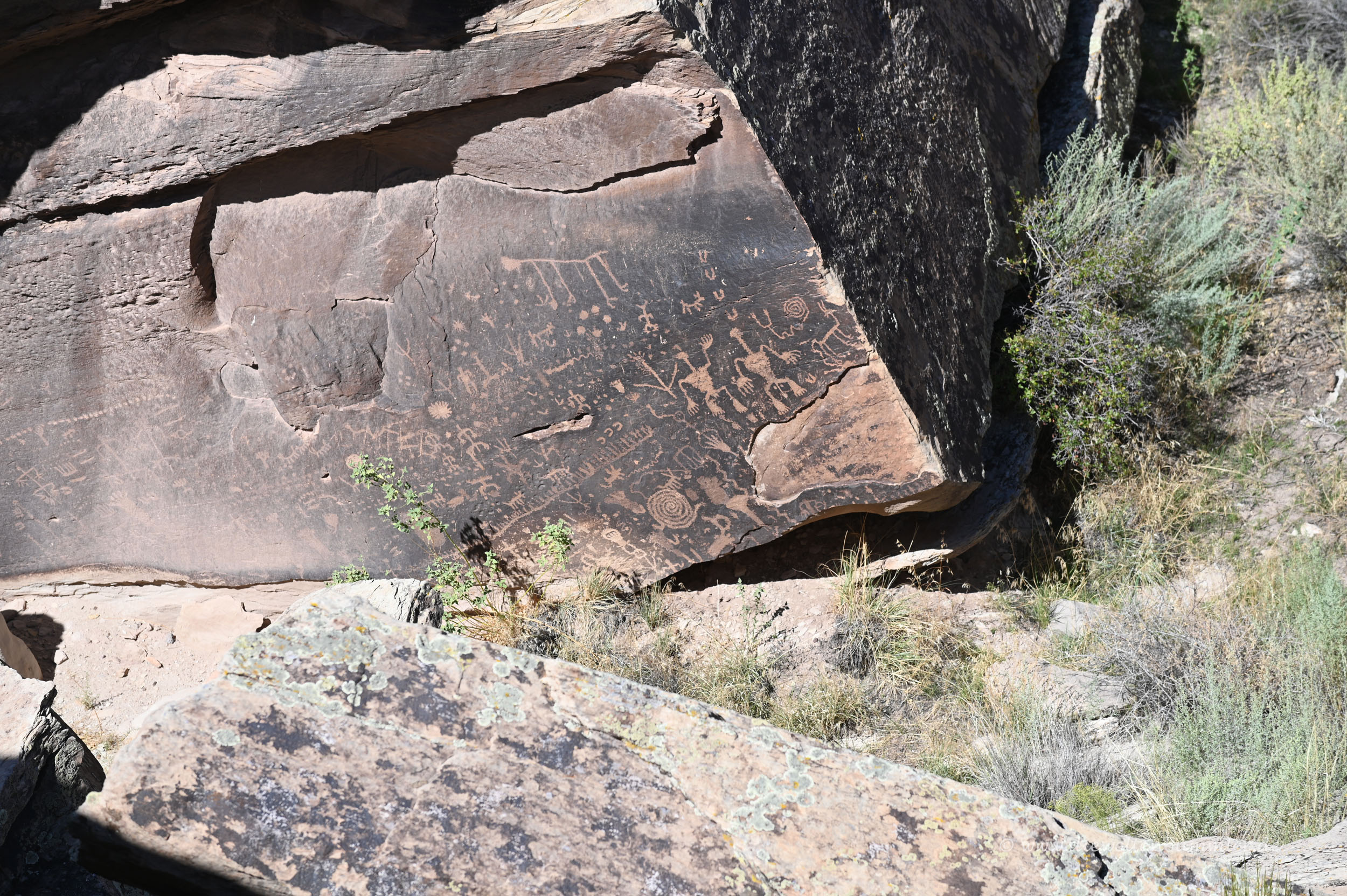 Petroglyphen im Nationalpark