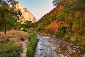Fluss im Zion Nationalpark