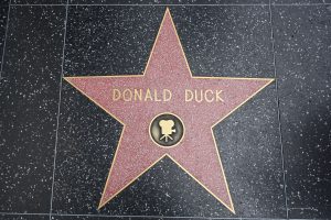 Donald Duck-Stern