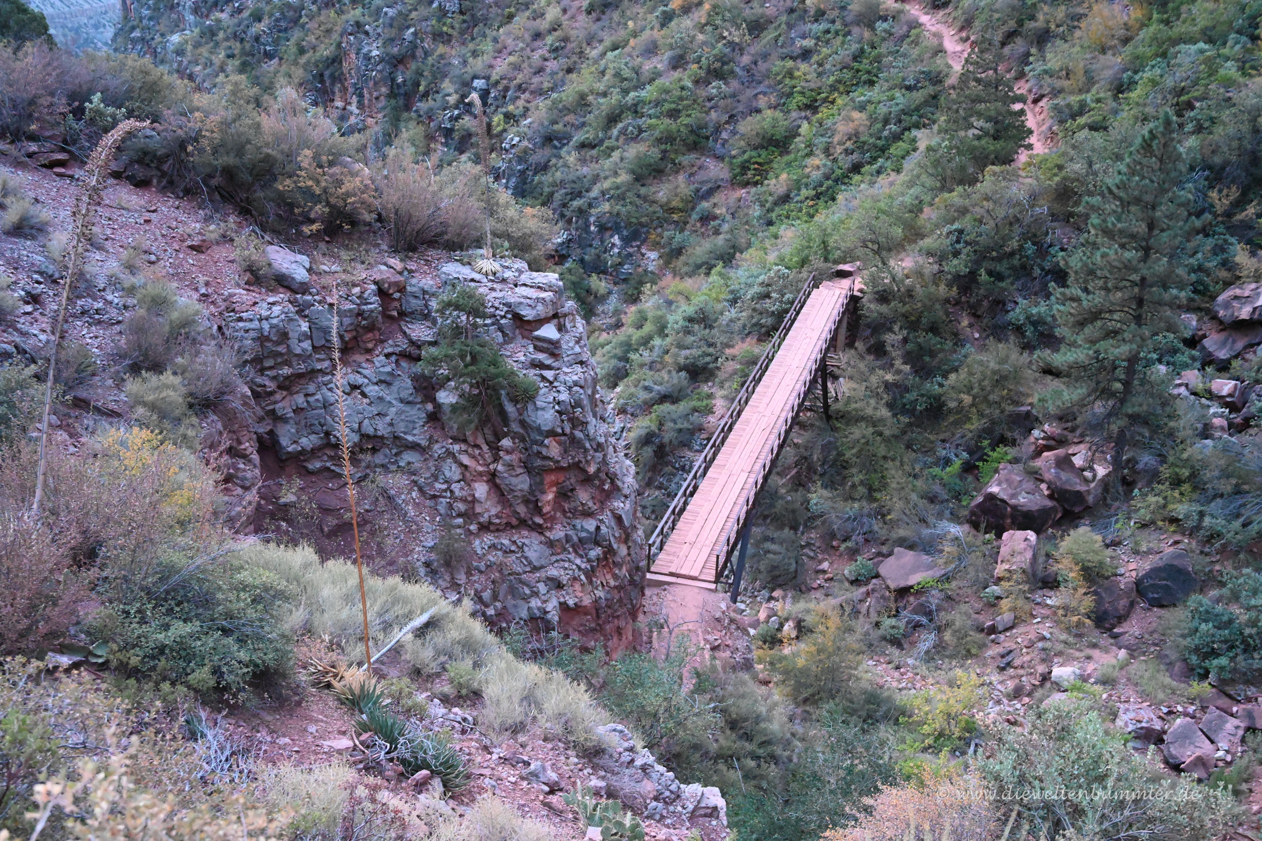 Brücke im Nebencanyon