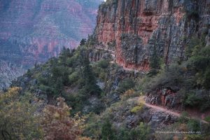 Der Wanderweg ist gut zu erkennen