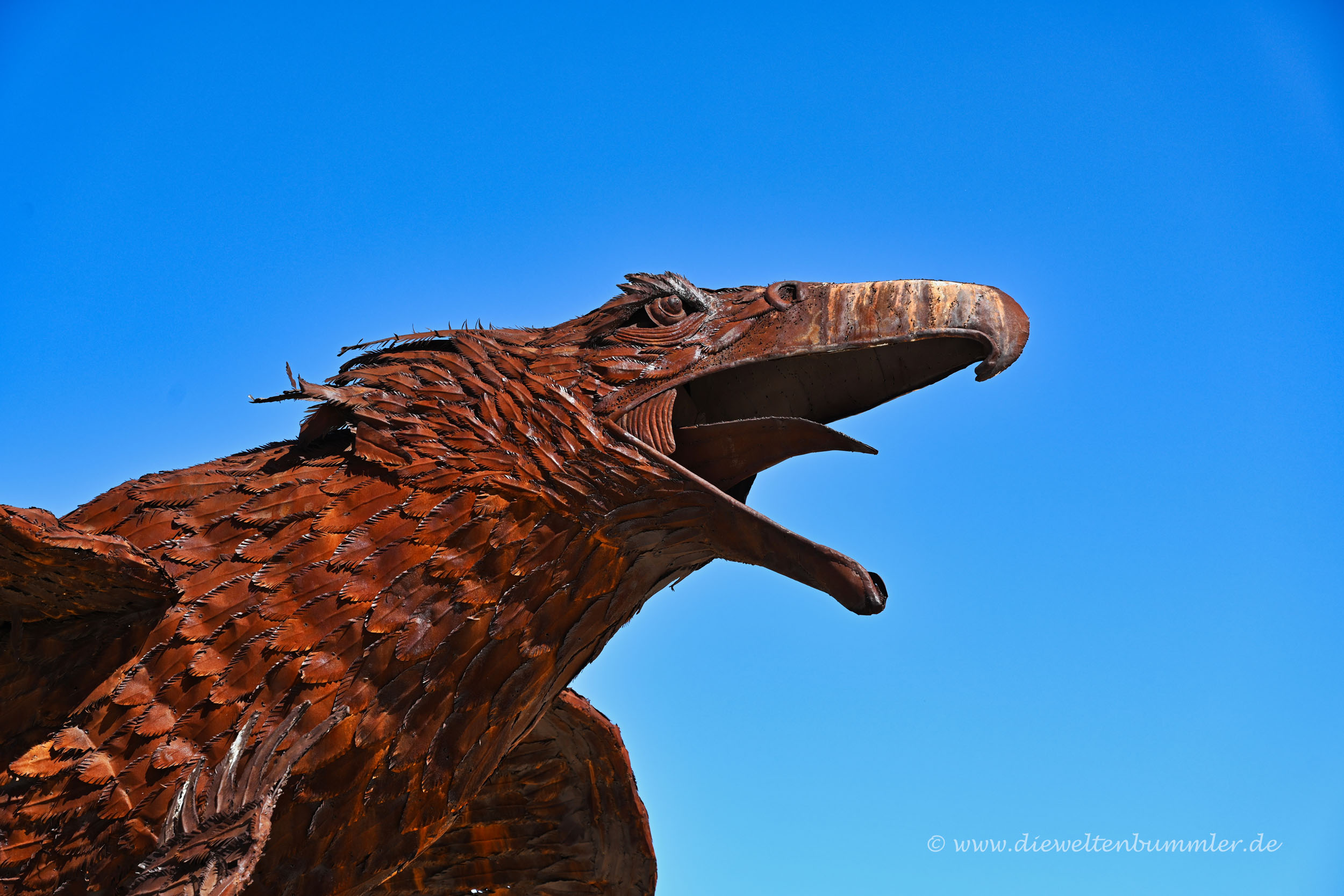 Adler Die Weltenbummler