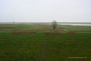 Aussicht vom Besucherzentrum