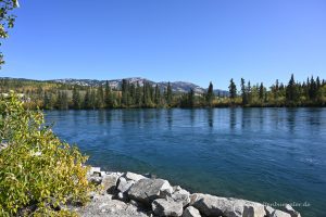 Der Yukon River in Whitehorse
