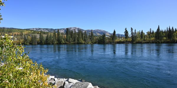 Der Yukon River in Whitehorse