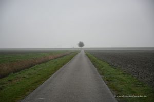 Einsamer Baum