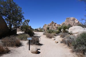 Hidden Valley Trail