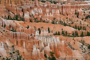 Hoodoos