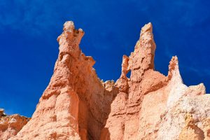 Hoodoos im Bryce Canyon