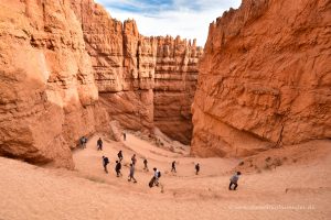 Navajo Loop Trail