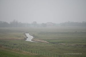 Nebel an der Ems