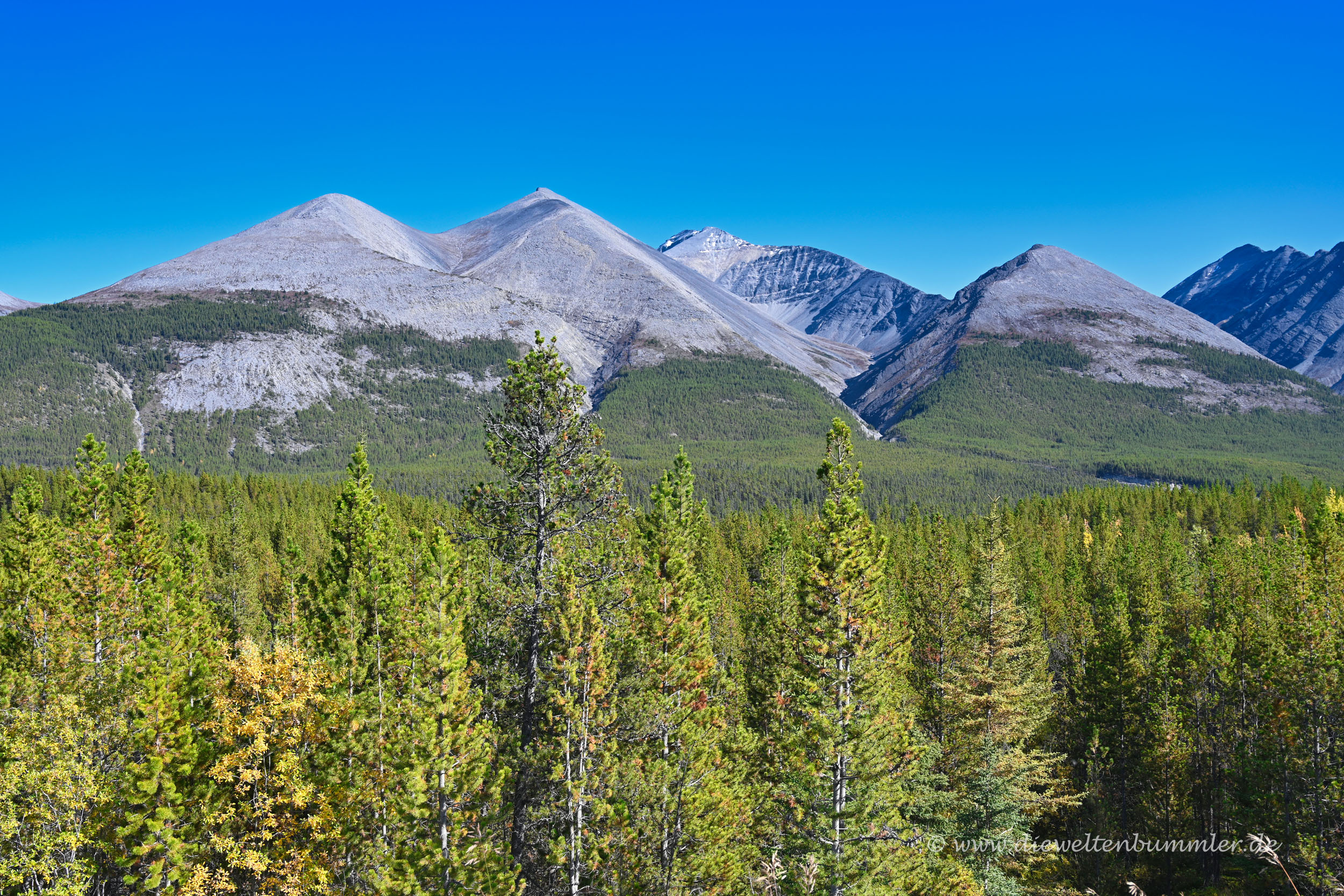 Northern Rockies