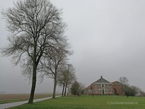 Polderlandschaft im Nebel